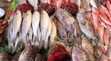 تراجع جديد أسعار الأسماك في سوق العبور اليوم